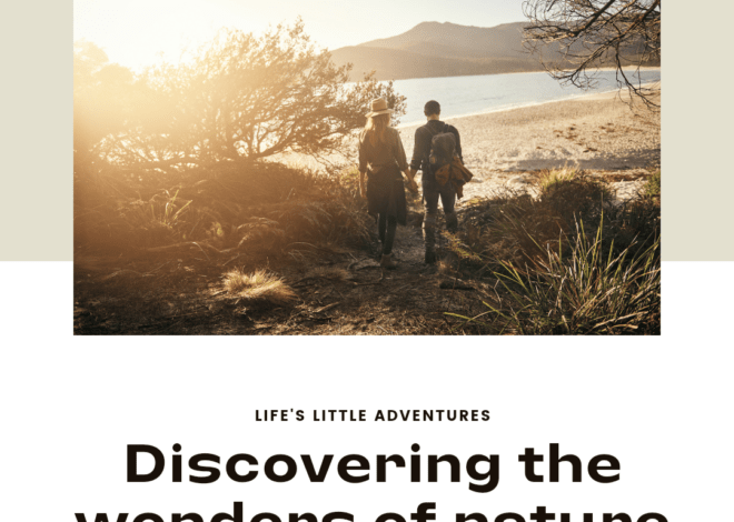 Life’s Little Adventures