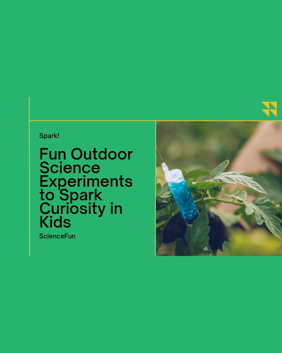 Fun Outdoor Science Experiments to Spark Curiosity in Kids