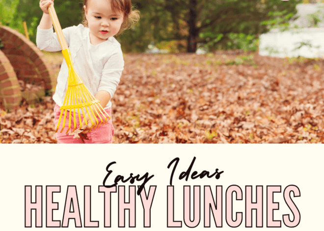 Top 10 Healthy Toddler Lunch Ideas for Moms