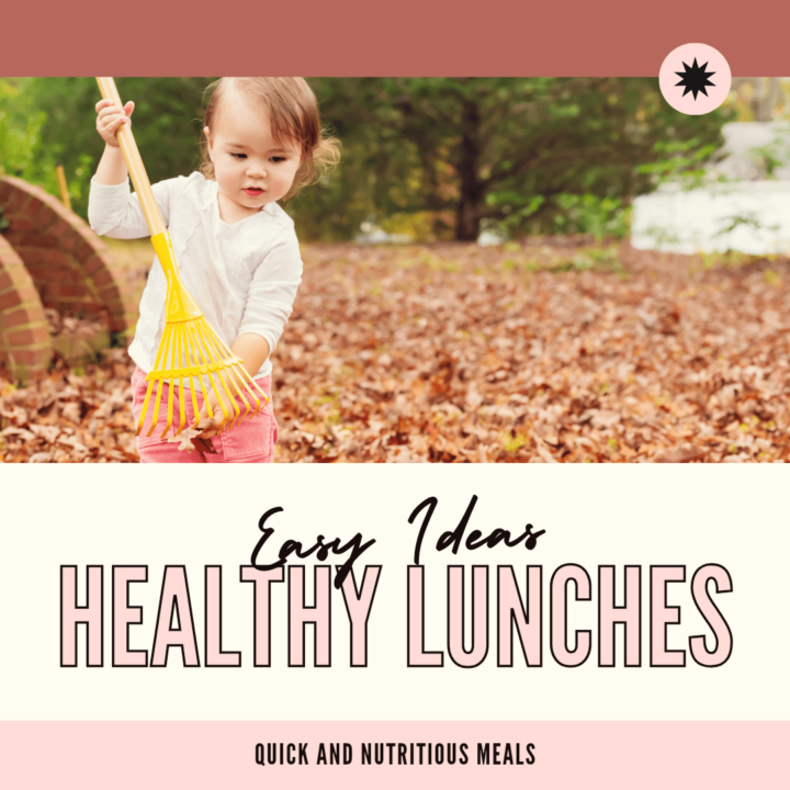 Top 10 Healthy Toddler Lunch Ideas for Moms